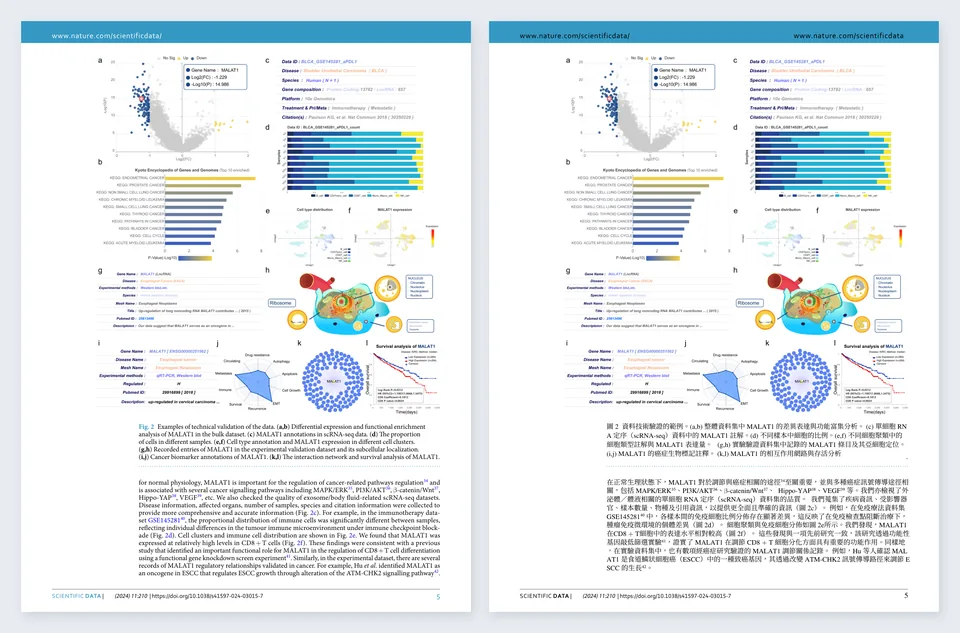 A page of the bilingual PDF: the original English page with a multi-panel figure on the left, the same page translated into Traditional Chinese on the right, with the figure and layout unchanged.